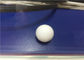 形成される白いプラスチックはカスタマイズされるテフロン/着色されるPtfeの固体プラスチック球を分けます