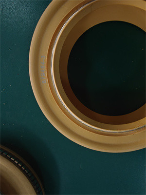 ポリミド リップシール PTFE リップシール スプリング エネルギーシール ゴムオイル シール 高効率の遠心分離ポンプ